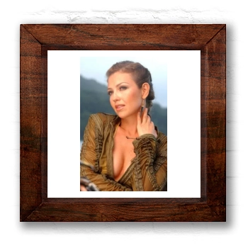 Thalia 6x6