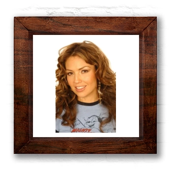 Thalia 6x6