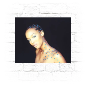 Tyra Banks Metal Wall Art