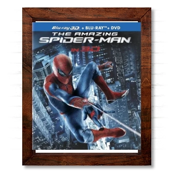 The Amazing Spider-Man (2012) 14x17