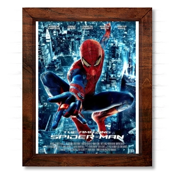 The Amazing Spider-Man (2012) 14x17