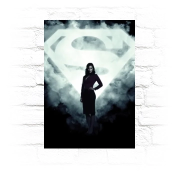 Smallville (2001) Metal Wall Art