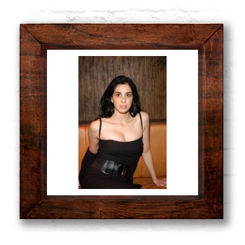 Sarah Silverman 6x6