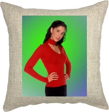 Sarah Silverman Pillow