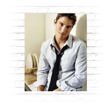 Sean Faris Poster