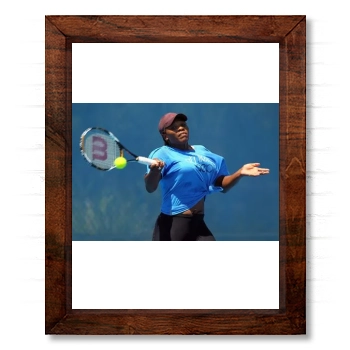 Serena Williams 14x17