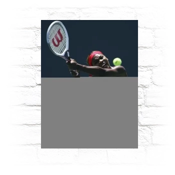 Serena Williams Metal Wall Art