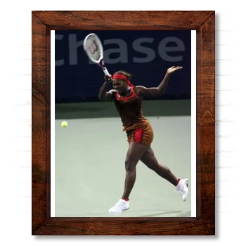 Serena Williams 14x17