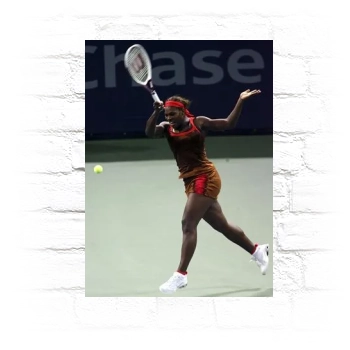 Serena Williams Metal Wall Art