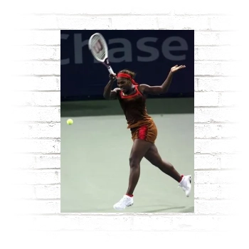 Serena Williams Poster