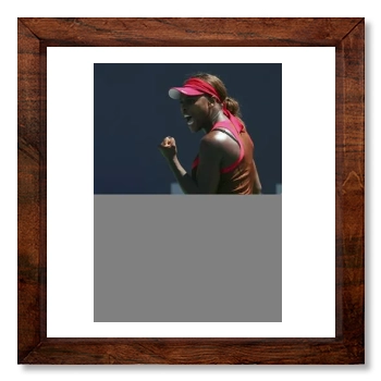 Serena Williams 12x12