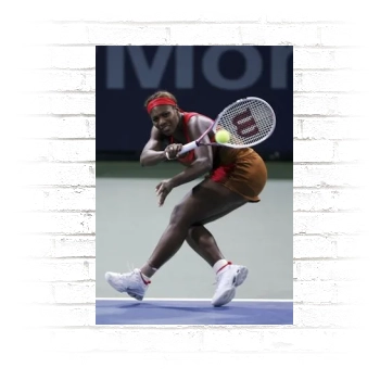 Serena Williams Poster