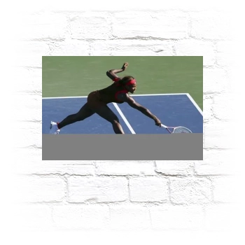 Serena Williams Metal Wall Art