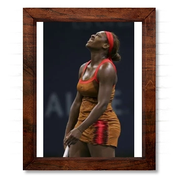 Serena Williams 14x17