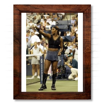 Serena Williams 14x17