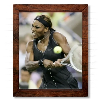 Serena Williams 14x17