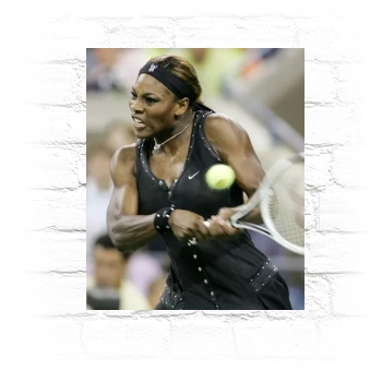 Serena Williams Metal Wall Art