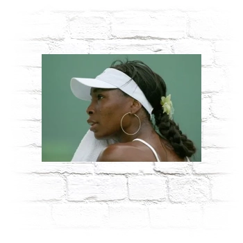 Serena Williams Metal Wall Art