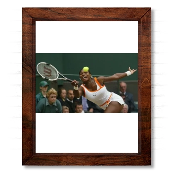 Serena Williams 14x17