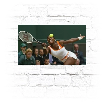 Serena Williams Metal Wall Art