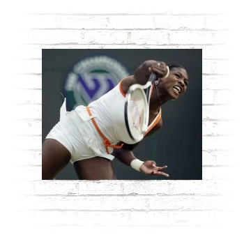 Serena Williams Poster