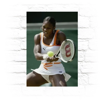 Serena Williams Metal Wall Art