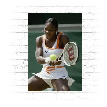 Serena Williams Poster