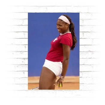 Serena Williams Poster