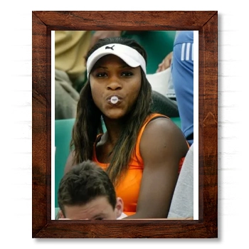 Serena Williams 14x17