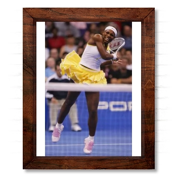 Serena Williams 14x17