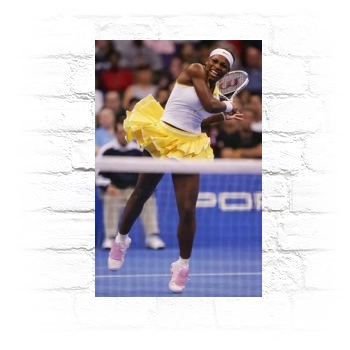 Serena Williams Metal Wall Art