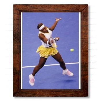 Serena Williams 14x17