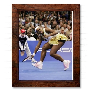 Serena Williams 14x17