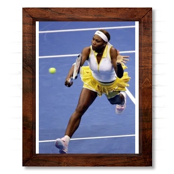 Serena Williams 14x17