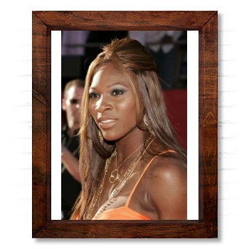 Serena Williams 14x17