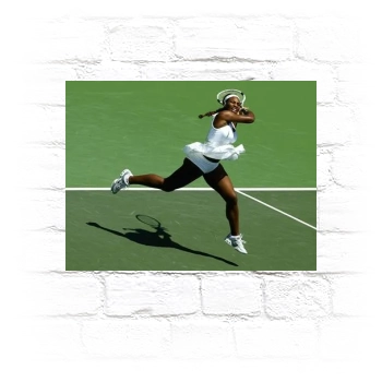 Serena Williams Metal Wall Art