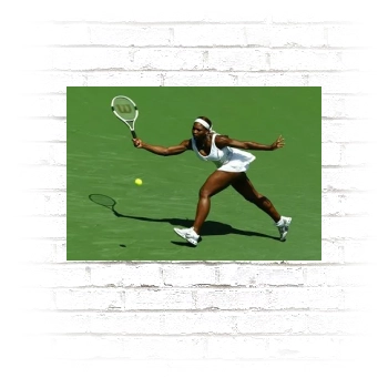 Serena Williams Poster