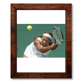 Serena Williams 14x17