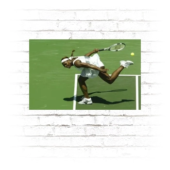 Serena Williams Poster