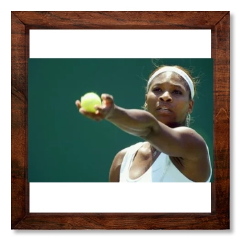 Serena Williams 12x12