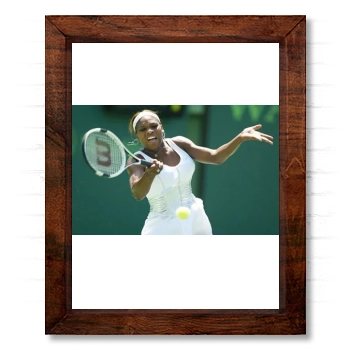 Serena Williams 14x17