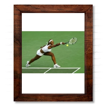 Serena Williams 14x17