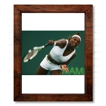 Serena Williams 14x17