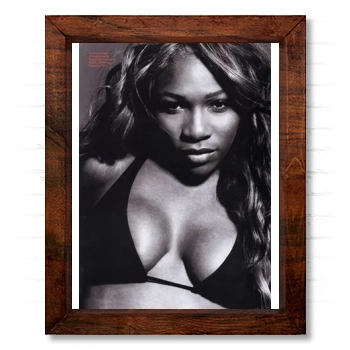 Serena Williams 14x17