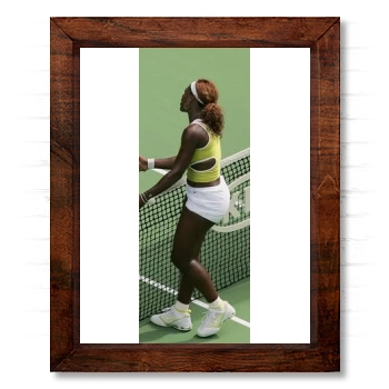 Serena Williams 14x17