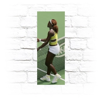 Serena Williams Metal Wall Art