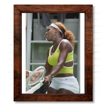 Serena Williams 14x17