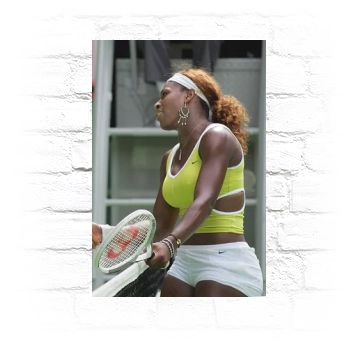 Serena Williams Metal Wall Art