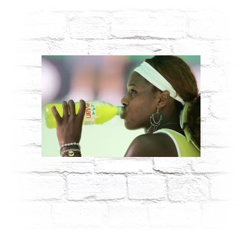 Serena Williams Metal Wall Art