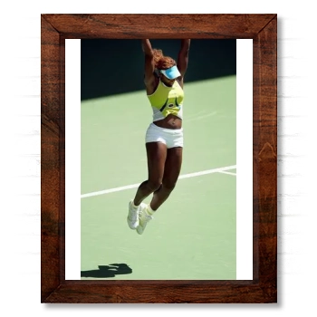 Serena Williams 14x17